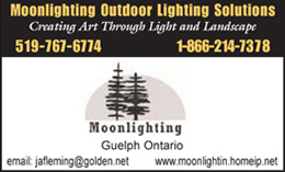 Moonlighting Outdoor Lighting Solutions